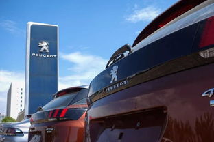 法系車 奢侈品牌榮耀與我無關(guān)